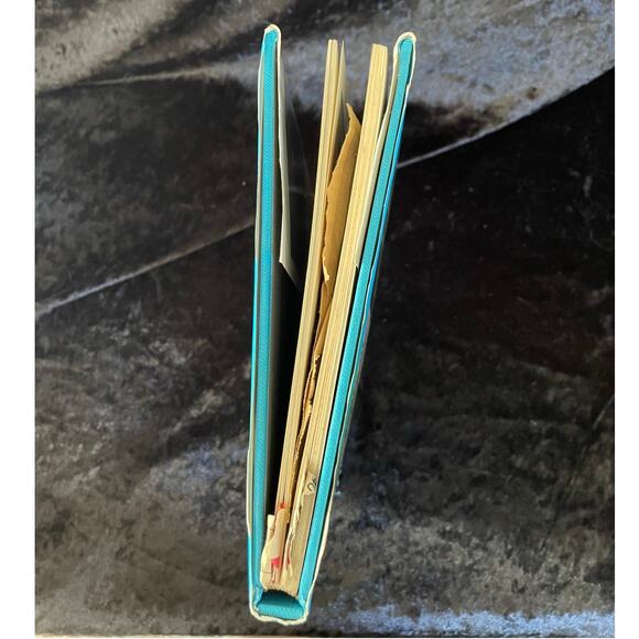 The Treasury of Birds | 1972 | Vintage Bird Book - Picture 7 of 10